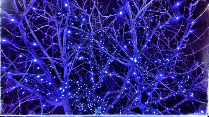 Eclairage led dans les arbres location à Dax