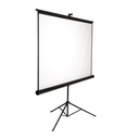 Ecran vidéo projecteur 220 x 124 cm