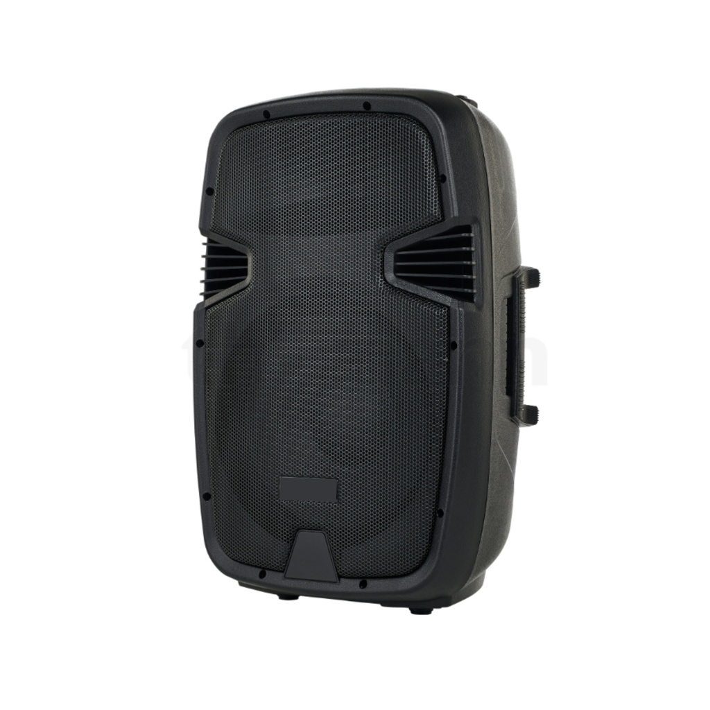 Enceinte sur batterie 12"