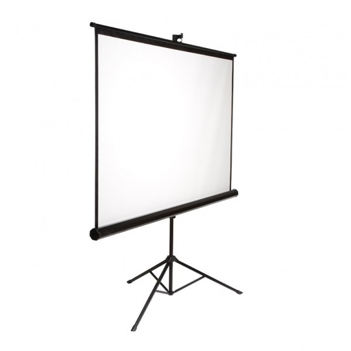 Ecran vidéo projecteur 220 x 124 cm